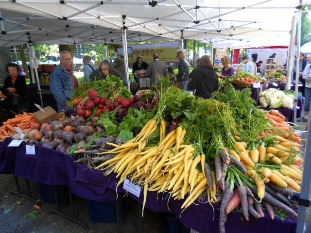 A blaze of brilliant colors