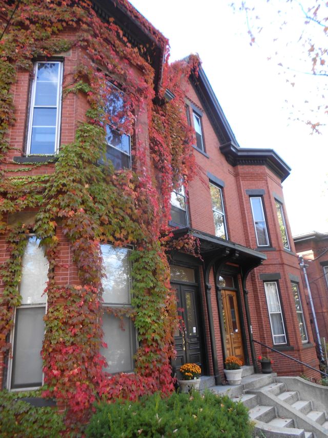 And you thought the "ivy league" was just an expression.