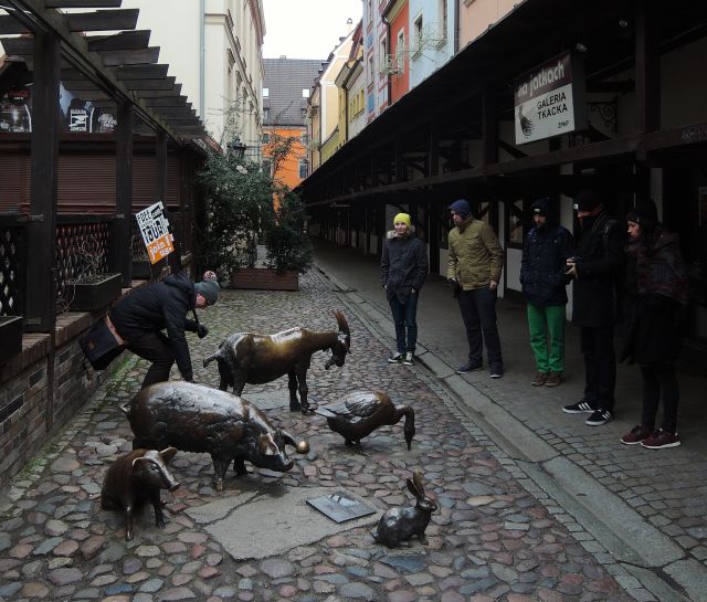 Literally shit or shinola