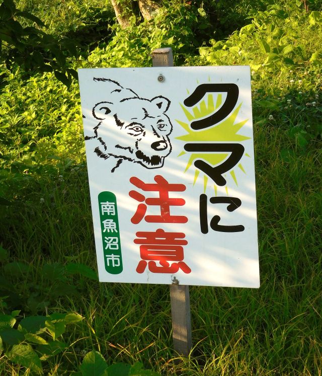 No translation required