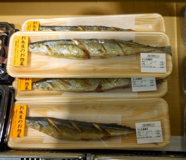 Ready for you head to tail