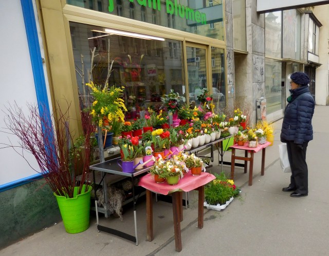 Vienna flower shop