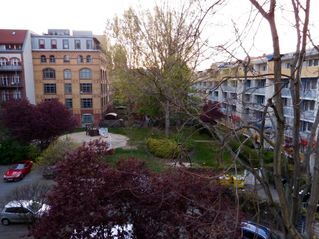 My view of the aviary