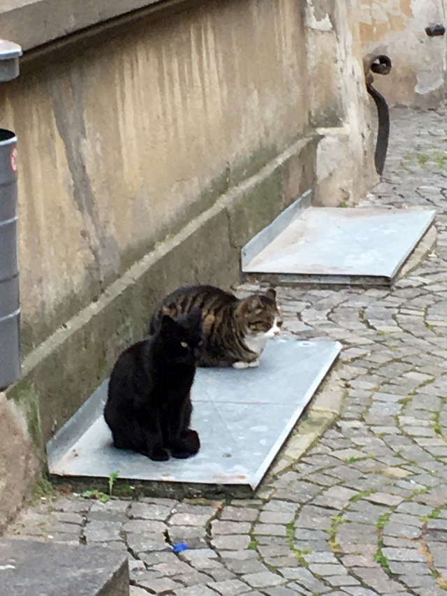 Masters of all they survey